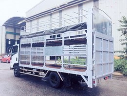 ISUZU NPR85K CHỞ XE MÁY 790 TRIỆU