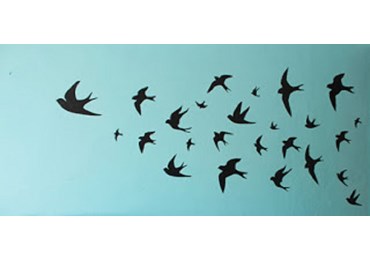 Chim én ơi! Cho ta gửi chút nắng mang về