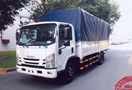 ISUZU NQR75L THÙNG MUI BẠT 705 TRIỆU